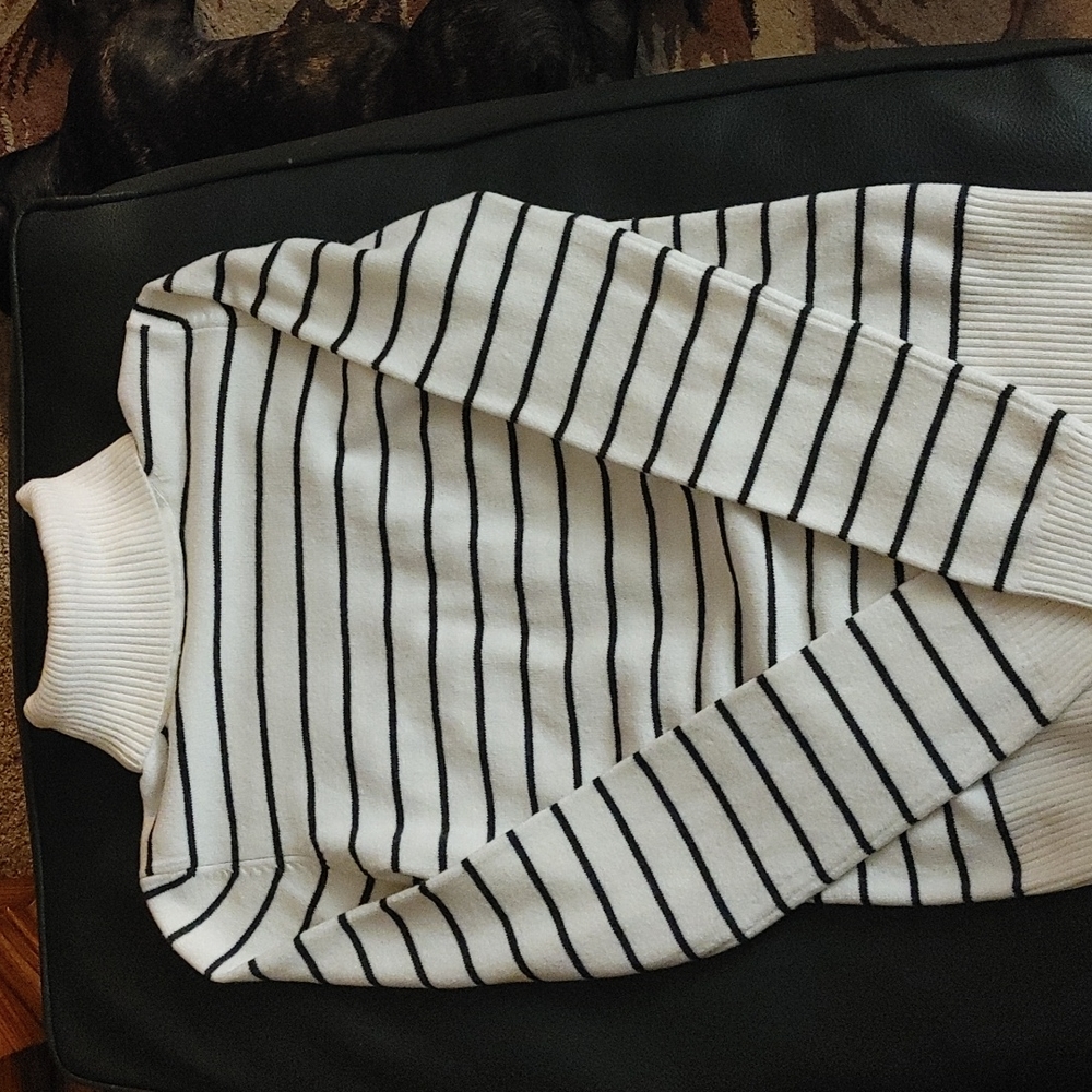 French connection turtleneck sweater